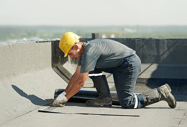 Best Cellulose Insulation  in Broadway, NC