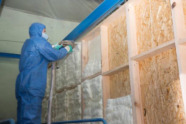 Best Insulation Inspection Services  in Broadway, NC